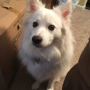 Meet your Posher, Meagan